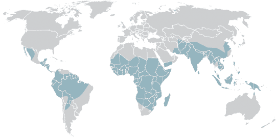 The Malaria areas
