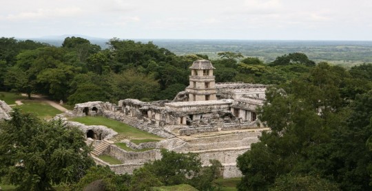 Palenque, old city in the middle of the jungle