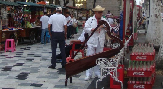 Musician on the zocalo