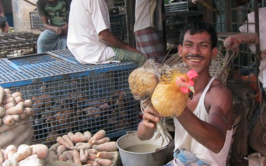 This chicken will not keep its head for a long time. Chittagong Old Market.